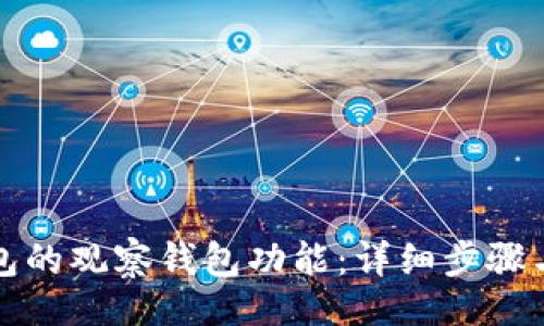 题目  
如何关闭TP钱包的观察钱包功能：详细步骤与常见问题解答