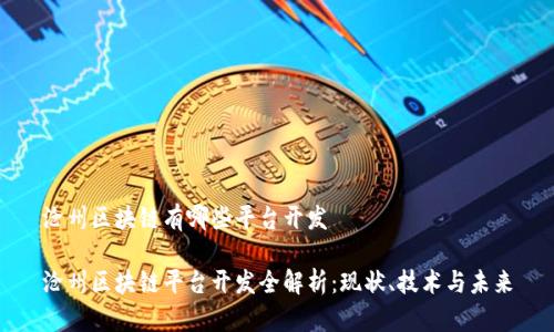 沧州区块链有哪些平台开发

沧州区块链平台开发全解析：现状、技术与未来